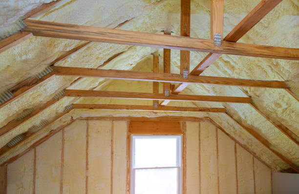 Best Specialized Insulation Services in Yankton, SD