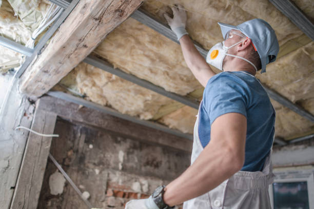 Best Commercial Insulation in Yankton, SD