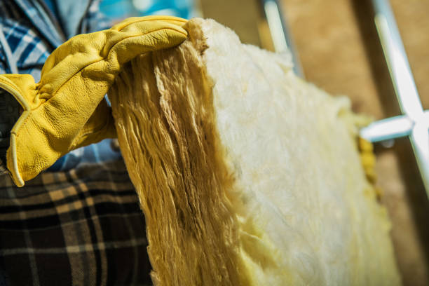 Best Residential Insulation in Yankton, SD